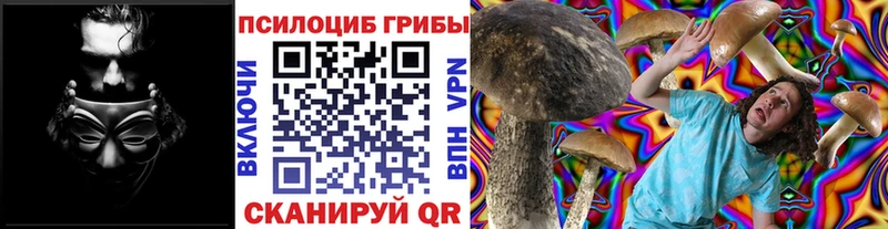 blacksprut   Аткарск  Псилоцибиновые грибы мицелий  купить наркоту 